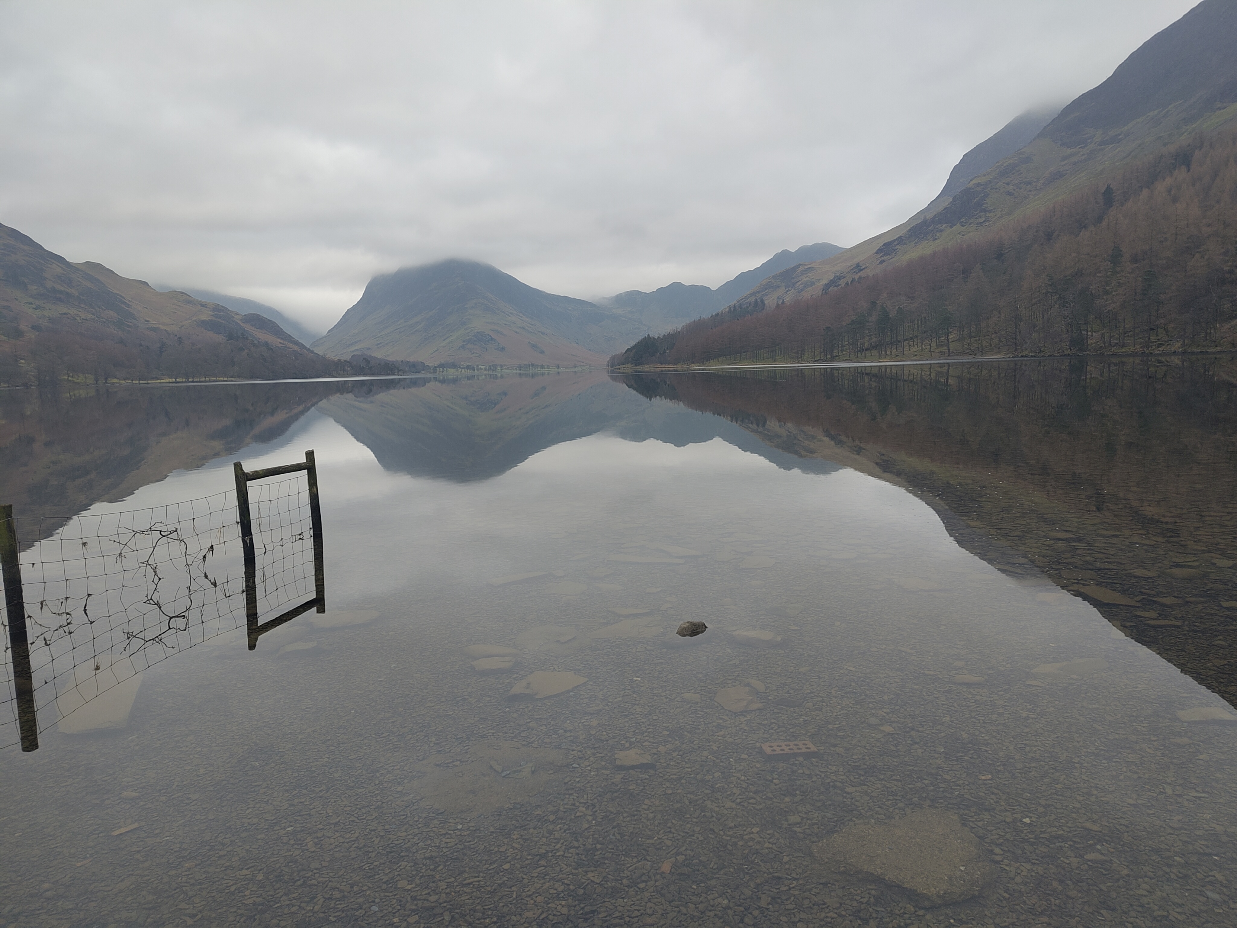 English river through forest